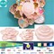 We R Memory Keepers STORAGE - BLOOM Embellishment Storage PINK 660339 by American Crafts